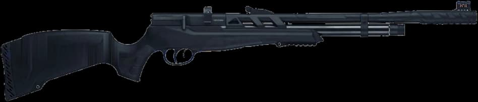 Beeman Raider Pro